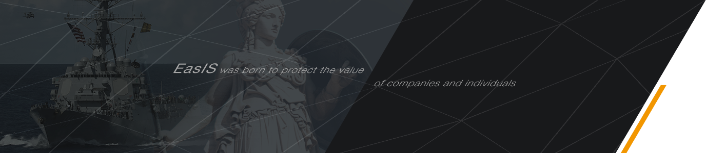 EasIS was born to protect the value of companies and individuals